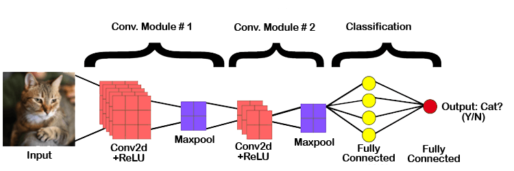 Convolutional Neural Networksl (CNNs)