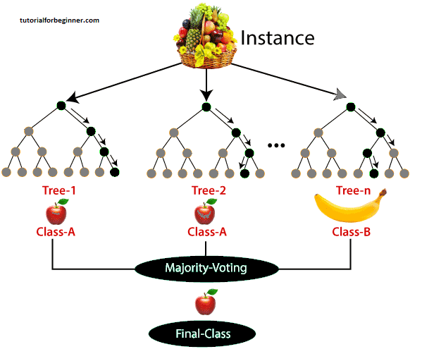 random forest algorithm 2